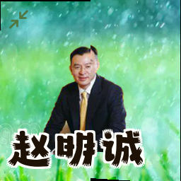 赵明诚